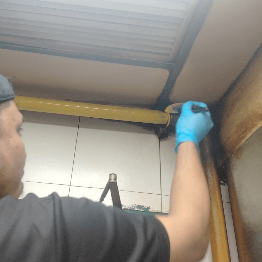 Rodent Control & Hole Sealing Services